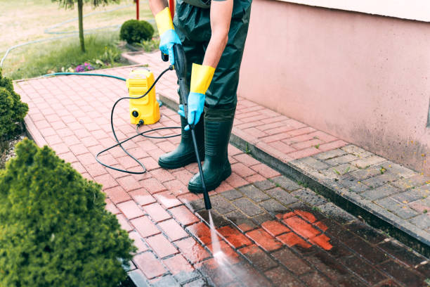 Best Roof Pressure Washing  in Monterey, TN