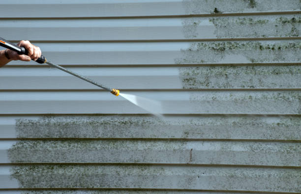Best Local Pressure Washing Services  in Monterey, TN