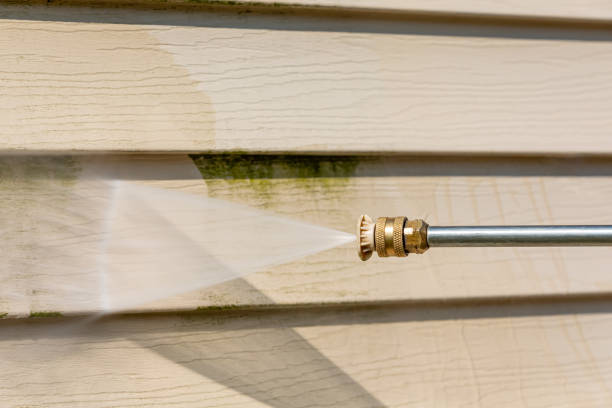 Best Local Pressure Washing Services  in Monterey, TN