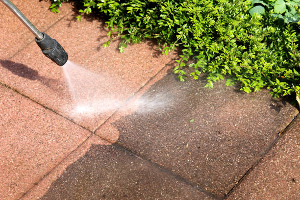 Local Pressure Washing Services in Monterey, TN